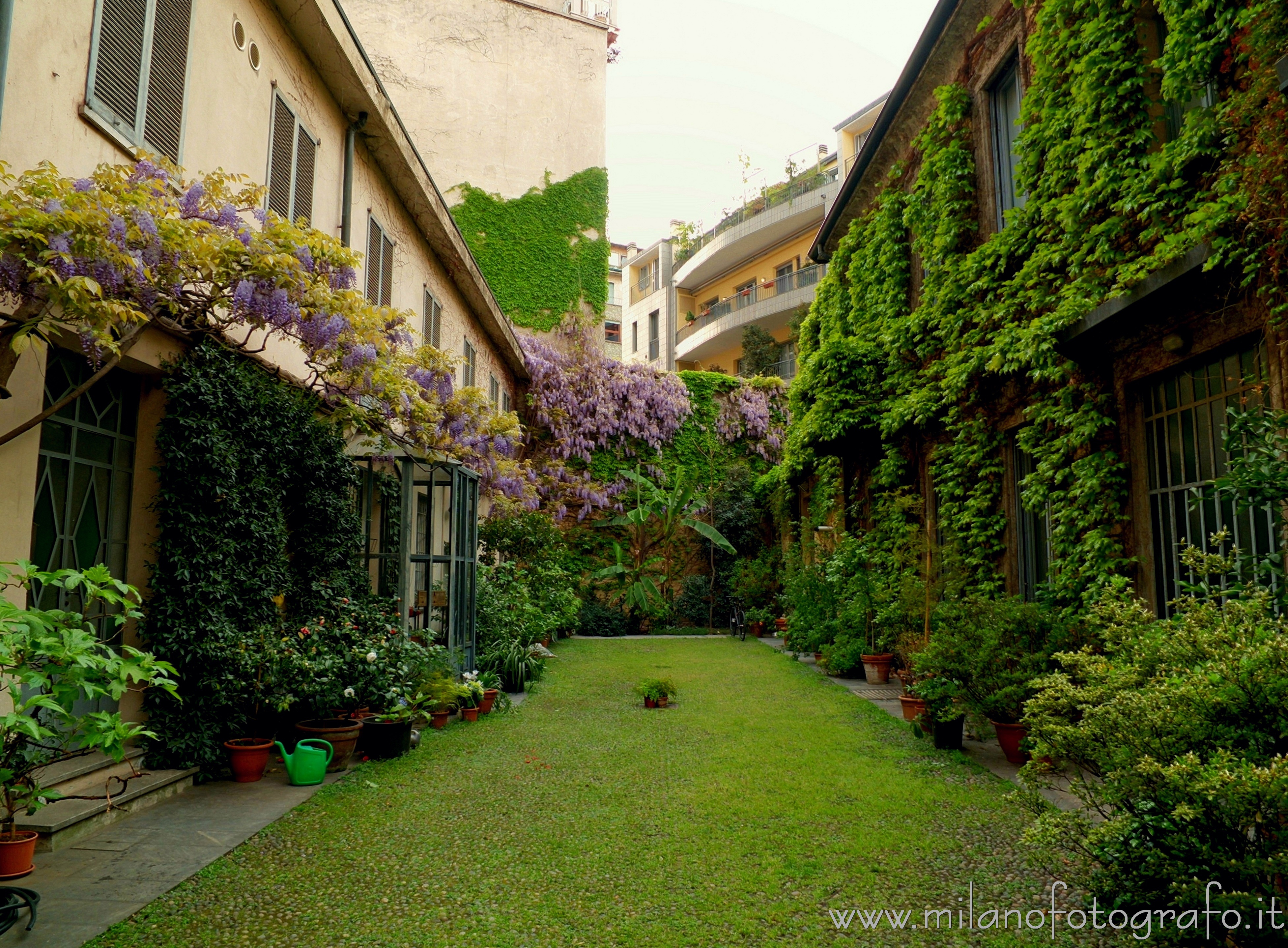 Milan (Italy) - Flowered courtyard in Corso Garibaldi